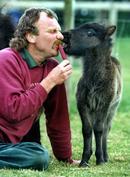 Jay Brittain of the Small Breeds Farm and Owl Centre near Kington, Herefordshire helps shares an ice lolly with thirsty foal.