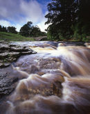 Stainforth Force