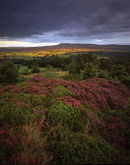 Pendle from Birdy Brow
