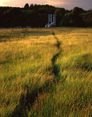 Meadow, Dinckley Bridge