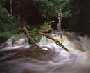 Catrigg Force