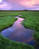 Passing Rain, Longton Marsh