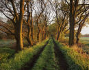 Astley Moss Approach