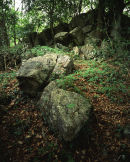 Boulders, Cringlebarrow