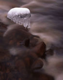 Icy Stone, Eagley Brook