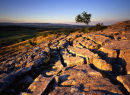 Hutton Roof Crag