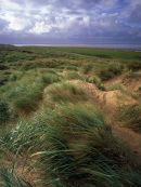 Lytham Dunes