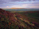 Pendle from Bradford Fell