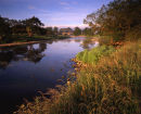 Ribble at Bradford Bridge