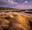 Traigh