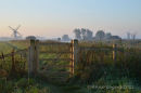 Gate near Thurne, Early Morning