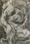Male torso
