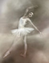 The ballet class