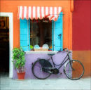 Burano, shop and bicycle