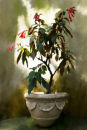 Potted Plant No. 1
