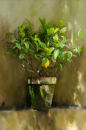 Potted Plant No. 2