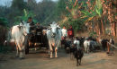 Tharu Village, Nepal