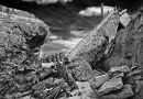 Happisburgh Beach defences - 4