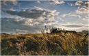Alnmouth dunes again