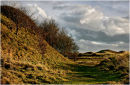 Alnmouth dunes