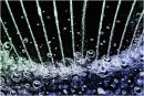 Bubbles!