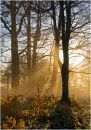 Early morning in Felbrig