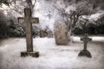 In Memoriam