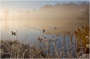 Misty morning at the Lake