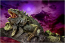 Night of the Iguana!