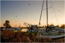 Winter sunset at Thurne