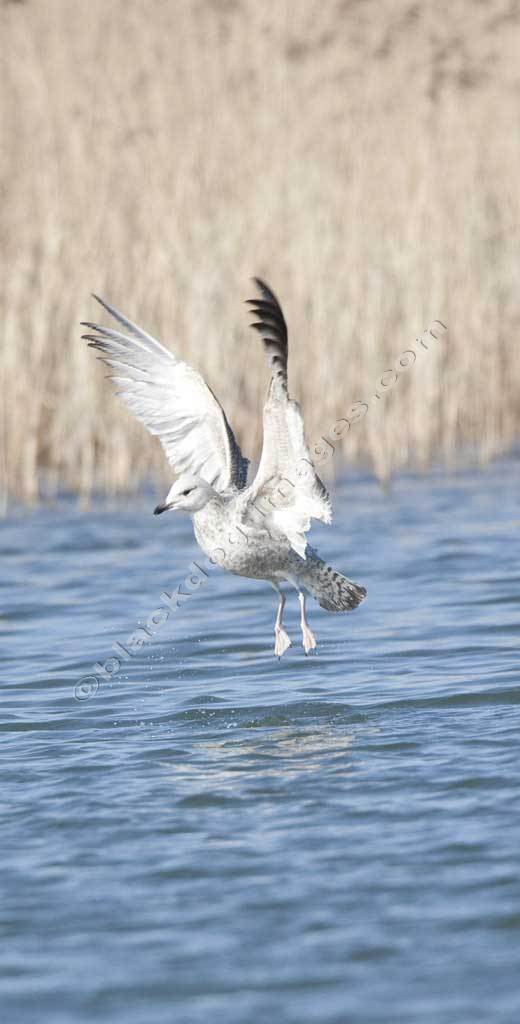 Lift Off!