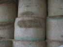 Silage Bales