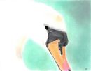 Swan