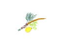 Succot Lulav and Etrog