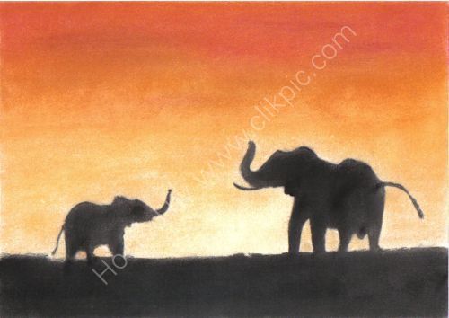 Elephants Silhouette