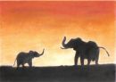 Elephants Silhouette