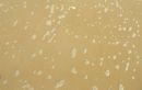 Bubbles on Sand