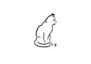 Catmint 