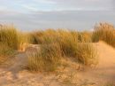 Sand Dunes