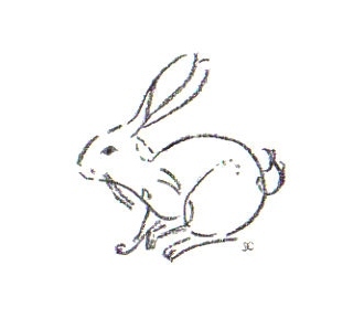 A Friendly Rabbit