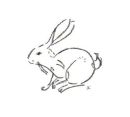A Friendly Rabbit