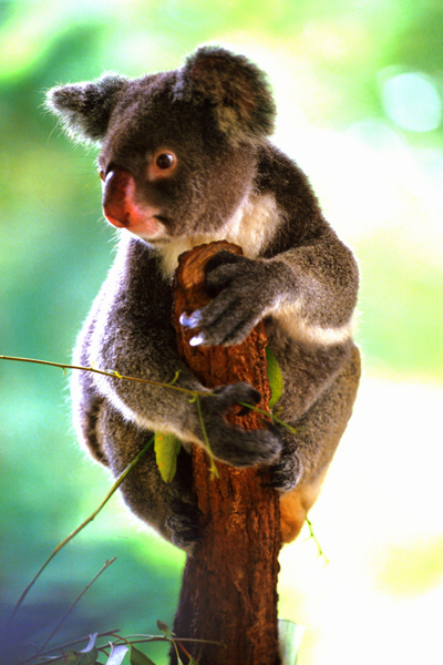 Queensland