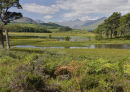 Highland Landscape - Advanced 2nd