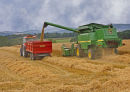Shine on Harvest Moon ADVANCED 3RD