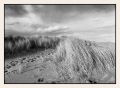 The Beach