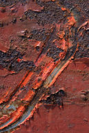Trees in Red