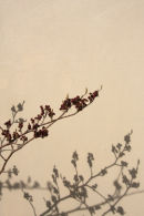 Floating World -10