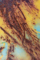 Maelstrom