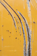 The Long Grass