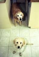 Someone's in trouble here...wanna guess who?